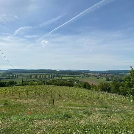 Preshaz A Hegyteton Appartement Pécsely Buitenkant foto
