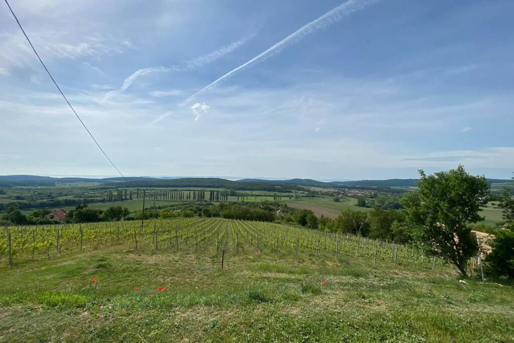 Preshaz A Hegyteton Appartement Pécsely Buitenkant foto